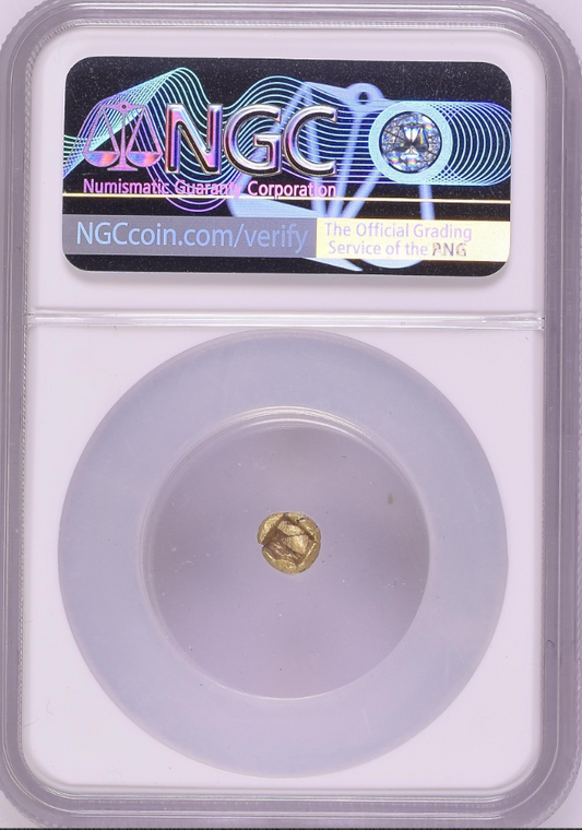 NGC MS 5/5 4/5 古代イオニア 不詳鋳造所 1/24スターテル エレクトラム貨 600–550 BC