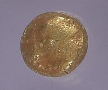 NGC Ch XF 4/5 4/5 古代ギリシャ イオニア 不明ミント ヘミヘクテ金貨（1/12スターテル） c.650–600 BC