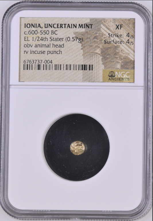 NGC XF 4/5 4/5 古代ギリシャ イオニア 不明鋳造所 エレクトラム金貨（1/24スターテル） c.600–550 BC