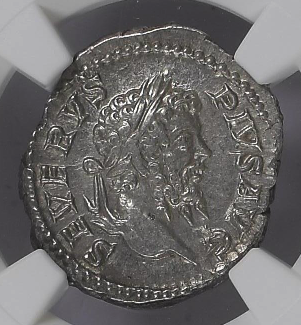 NGC Ch XF 5/5 5/5 ローマ帝国 セプティミウス・セウェルス デナリウス 銀貨 AD 193–211